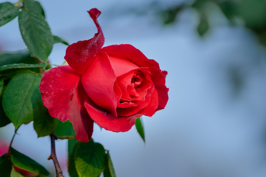 657f4d3cb1256da5f93fb2f55c5886ab7e3899ec2f525-aXpO9Y