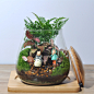 朋友同学生日礼物 创意桌面植物盆栽摆件 苔藓微景观生态瓶 精美成品 #小清新# #办公#
