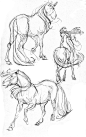 horse sketches by davidsdoodles