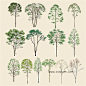 日本500种PSD水彩手绘园林植物草地灌木-平面图效果图后期..._免费下载_ZOSCAPE-园林景观设计意向图库|园林景观学习网 - 手机版 -