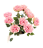 粉色玫瑰花丛花束png (7)