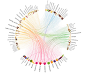 这是设计师Moritz Stefaner为谷物配料网设计的谷物搭配信息图，图中（1）线条越粗代表这种搭配越受用户追捧；（2）连接线对应搭配关系和受欢迎程度，并通过渐变填充处理，起到视觉上引人食欲的美艳效果。（3）可用图表汇的“中国小吃地图”作配色反例分析。详见http://t.cn/zWfzuSx