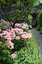 Gardens:  A gorgeous flower-bordered #garden #path.: 