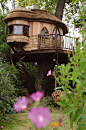 Tree House, Scotland
photo via itshad