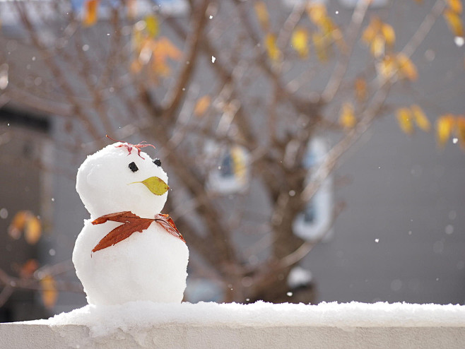 Snowman by Shinpei K...