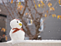 Snowman by Shinpei KODA on 500px