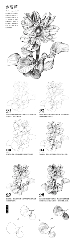 虎麻麻采集到彩铅