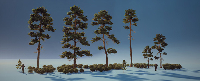 Pine Trees. UE 5.