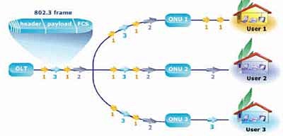 图3：EPON下行传输