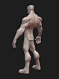 Infinity Hero Character Anatomy Blockout