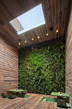 室内设计软装资料分类采集到绿化墙