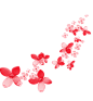 花瓣飘落免抠素材（一） - xcbwuyi6565 - wuyi