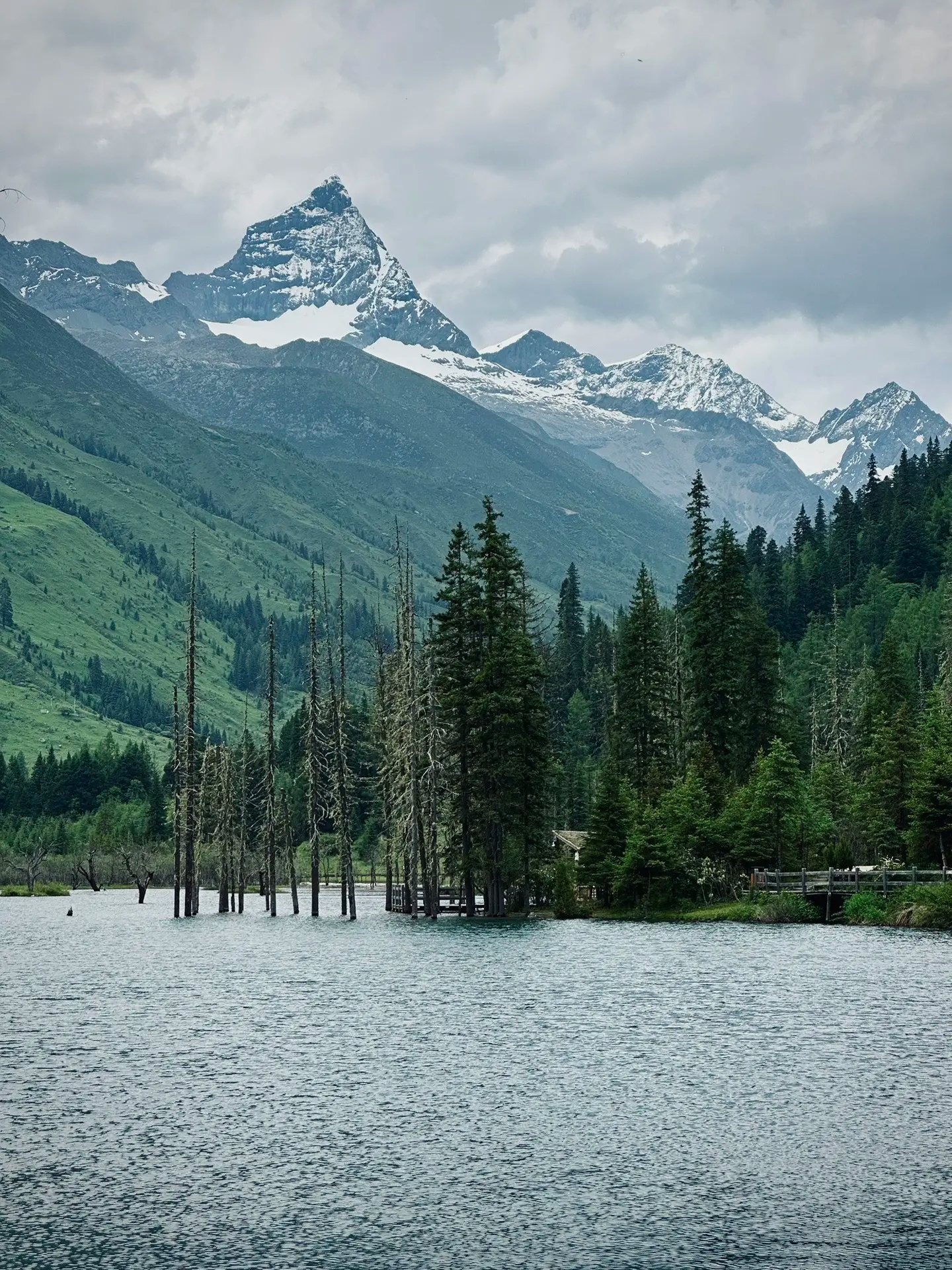 661f1db663bff3ae03432b280a481e3887fd0cf231da42-Q8wrqk