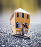 Microphotography of Orange and Blue House Miniature on Brown Snail's Back