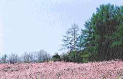 朝花夕露采集到地感地带