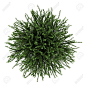 shrub top view - Google Search: 