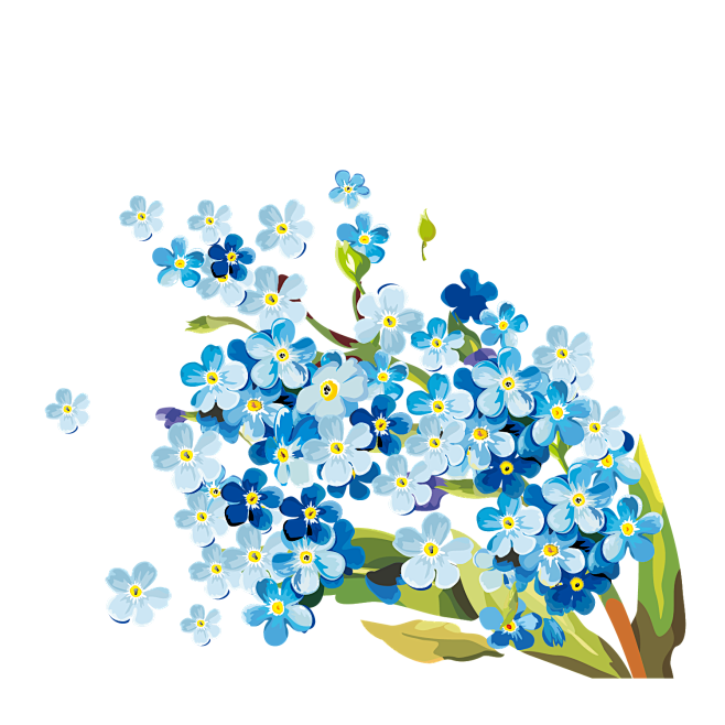 png蓝色花卉花朵鲜花手绘透明免抠素材
...