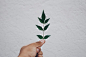 Close-up of Hand Holding Plant Against Sky