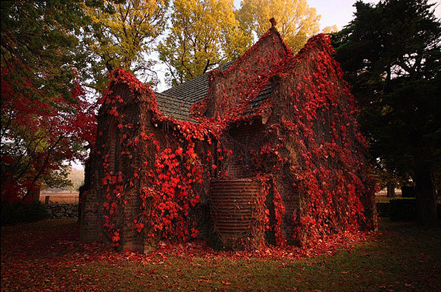 废墟之美：秋色中的教堂废墟