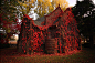 废墟之美：秋色中的教堂废墟