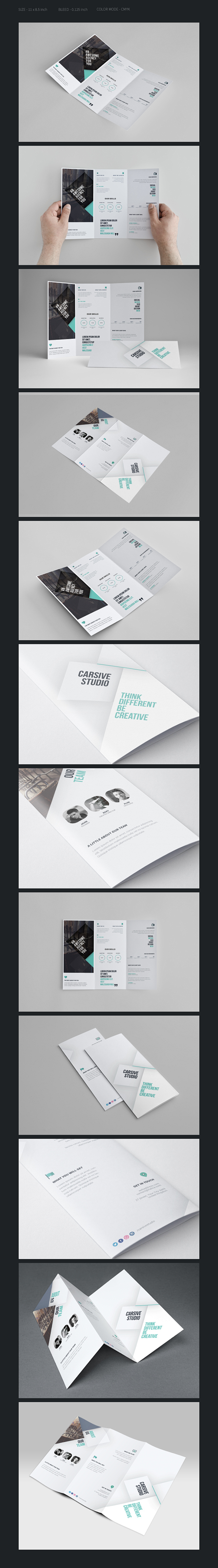 Tri-fold Brochure Te...