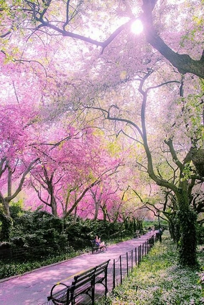 Conservatory Garden ...