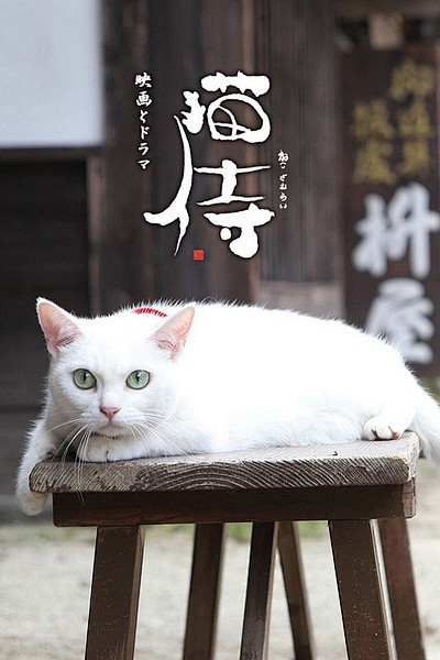 《猫侍》