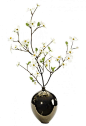 Natural Decorations, Inc. - Dogwood Branch White Tear Drop Bronze Glaze 38 x 22 $218: @北坤人素材