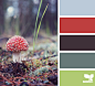 mushroom color