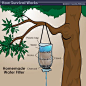 HowStuffWorks "Jungle Survival: Finding Water": 