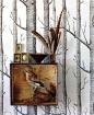 silver birch wallpaper taxidermy bird egs and feathers. Woods by Cole & Son