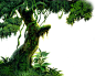 绿色树藤藤蔓树叶花藤枯枝藤条透明免抠PNG图案图片 PS设计素材 (34)