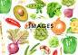 [美工云]水彩蔬菜图形Vegetables_Watercolor_PNG：