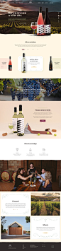 杜比克葡萄酒 | Dubicz wine_刘畅_68Design