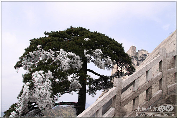 天柱山