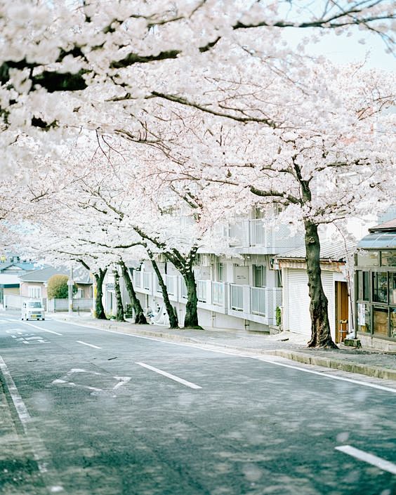 Street, Japan