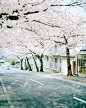 Street, Japan