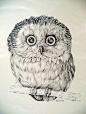 OWL - art PRINT - DRAWING by Besser - printed for Cunningham Art Products - 1971 Stapco - black and white