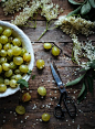 Eten uit de Moestuin