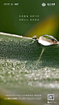 谷雨 节气