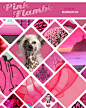 Shutterstock + Pantone Fall 2012: Pink Flambé