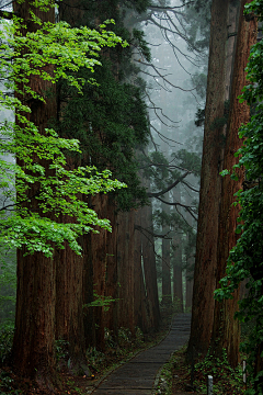 狂风悟天采集到自然风景