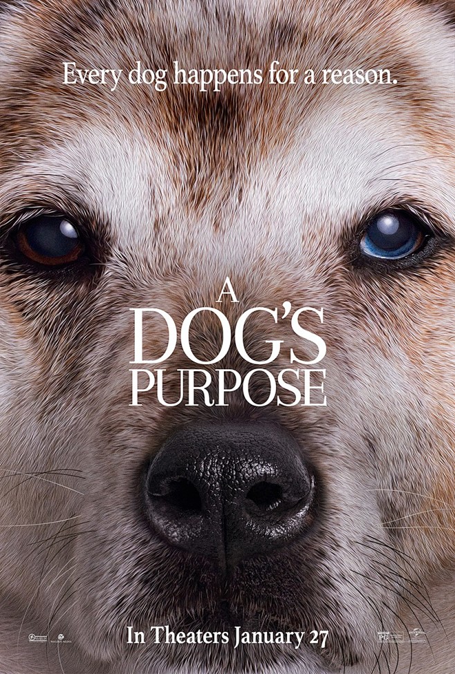 A Dog's Purpose