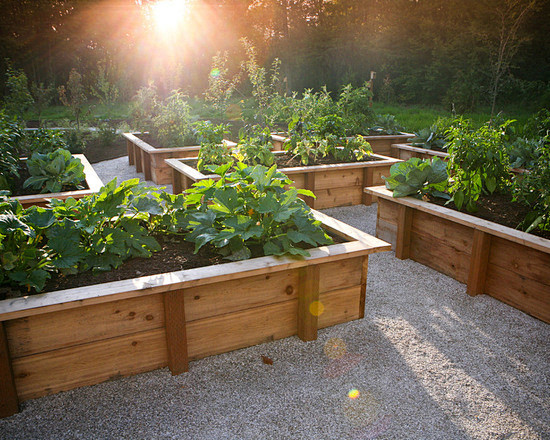 Vegetable Box Home D...