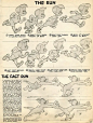 [老资料] 迪士尼动画手稿 - 哔哩哔哩