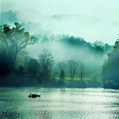 ♀莞尔流◇年amp;夏至♂未至采集到静景