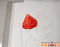                  彩铅画草莓步骤                                            1、画好最上面的一颗草莓，用到黄色、橙色、红色、暗红色
　　橙色为草莓打底，留出高光和籽籽，籽籽用黄色涂好(我是最后涂的)
　　然后用红色染色，再用暗红色画出暗部。之后再用橙色、红色、暗红不断叠色修饰