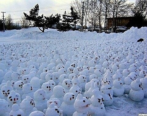 一男生为心仪的女生堆了一千个雪人，女生很...