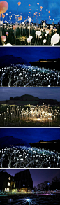 视觉同盟：英国艺术家Bruce Munro的光源装置作品field of light（星光原野），由5000多支亚克力灯组成的光海（更多创意组图 http://t.cn/z0gvYau）