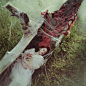 迷人的童话灵感肖像 | 纽约的乌克兰摄影师 Anita Anti